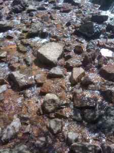 Hiking in Colorado | Copyright Patricia Belleno