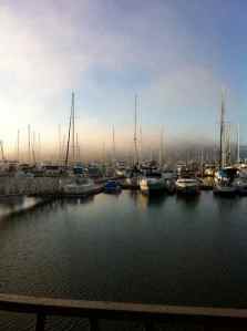 San Diego Harbor | Copyright Patricia Belleno